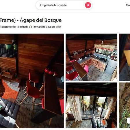 Casa Del Arbol Villa Monteverde Ngoại thất bức ảnh