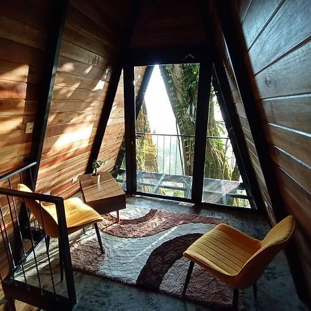 Casa Del Arbol Villa Monteverde Ngoại thất bức ảnh