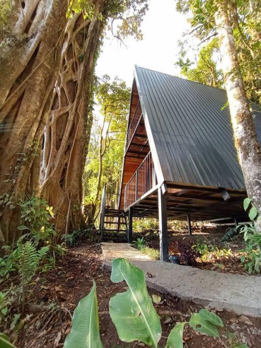 Casa Del Arbol Villa Monteverde Ngoại thất bức ảnh