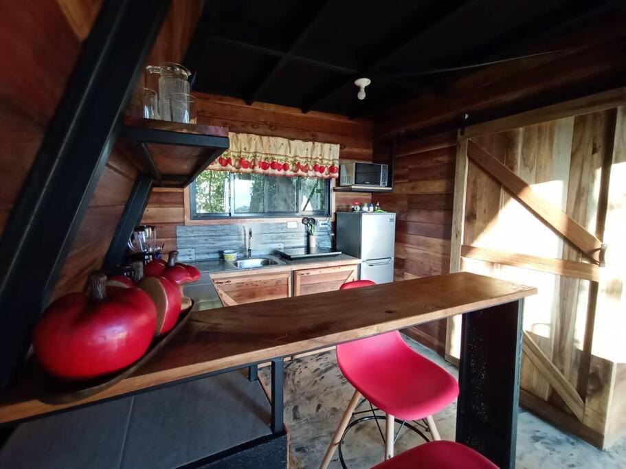 Casa Del Arbol Villa Monteverde Ngoại thất bức ảnh