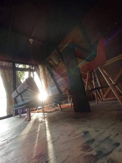 Casa Del Arbol Villa Monteverde Ngoại thất bức ảnh