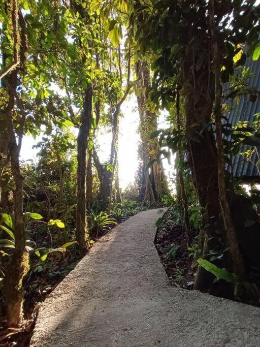 Casa Del Arbol Villa Monteverde Ngoại thất bức ảnh